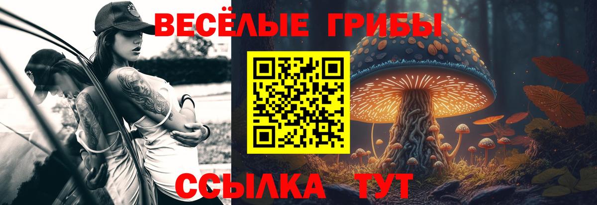 Галлюциногенные грибы прущие грибы Россошь